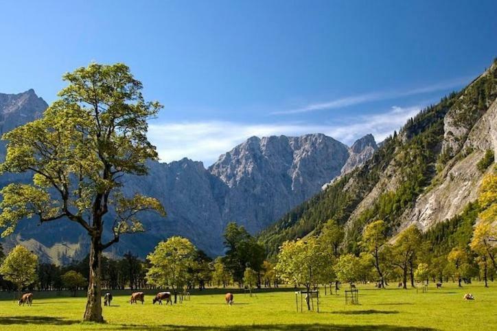 Apartmán Alpenfreund Mittenwald Exteriér fotografie
