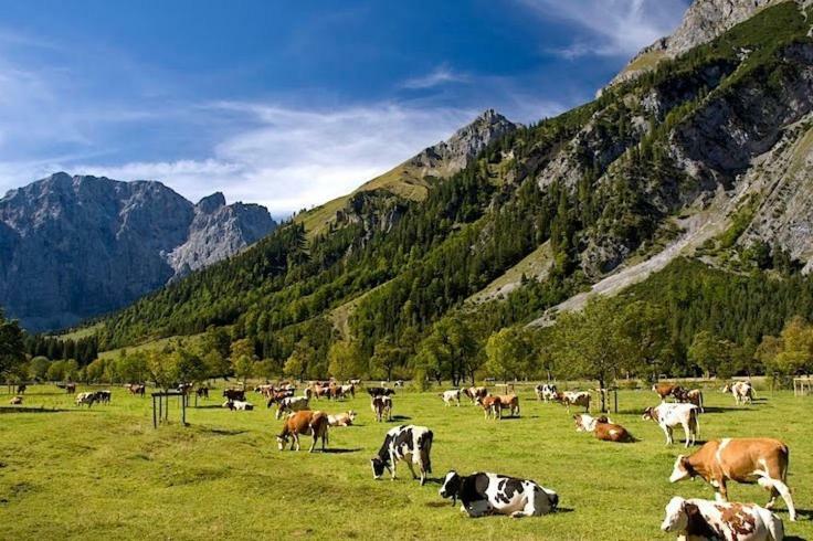 Apartmán Alpenfreund Mittenwald Exteriér fotografie