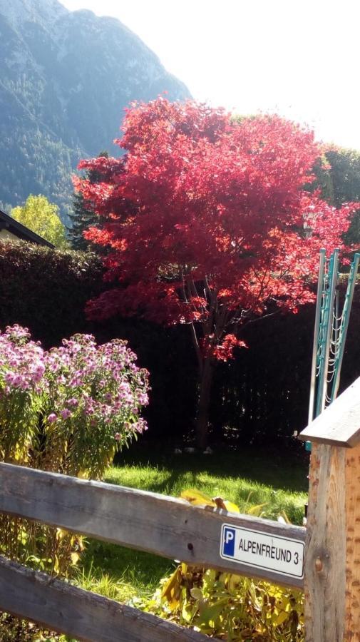 Apartmán Alpenfreund Mittenwald Exteriér fotografie